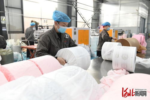 河北節后復工忙 新型膜材料制造產業力爭“開門紅”